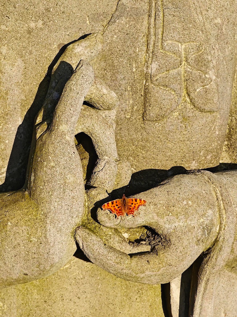 Zen.nl, Zen, meditatie, leren mediteren, foto